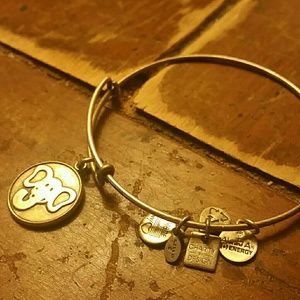 Alex and Ani energy bracelet